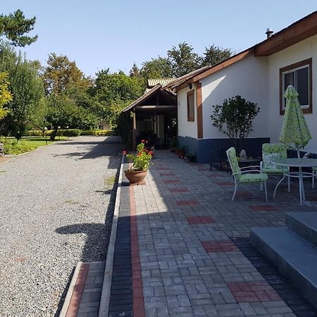 Chillán Lodge Mirador المظهر الخارجي الصورة