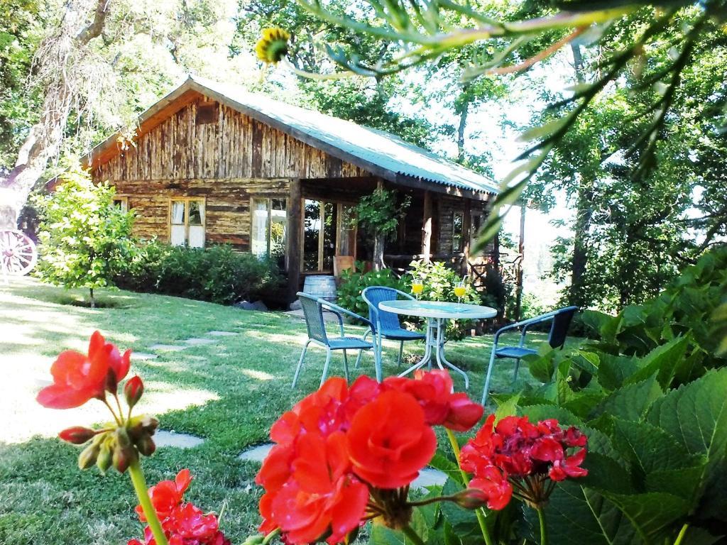 Chillán Lodge Mirador المظهر الخارجي الصورة